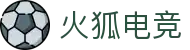 火狐电竞 - 助你从观赛到懂赛的进阶指南